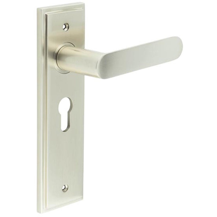 Elegant Satin Nickel Door Handle with Euro Backplate Luxurious Interiors Solid Brass Interior Handle