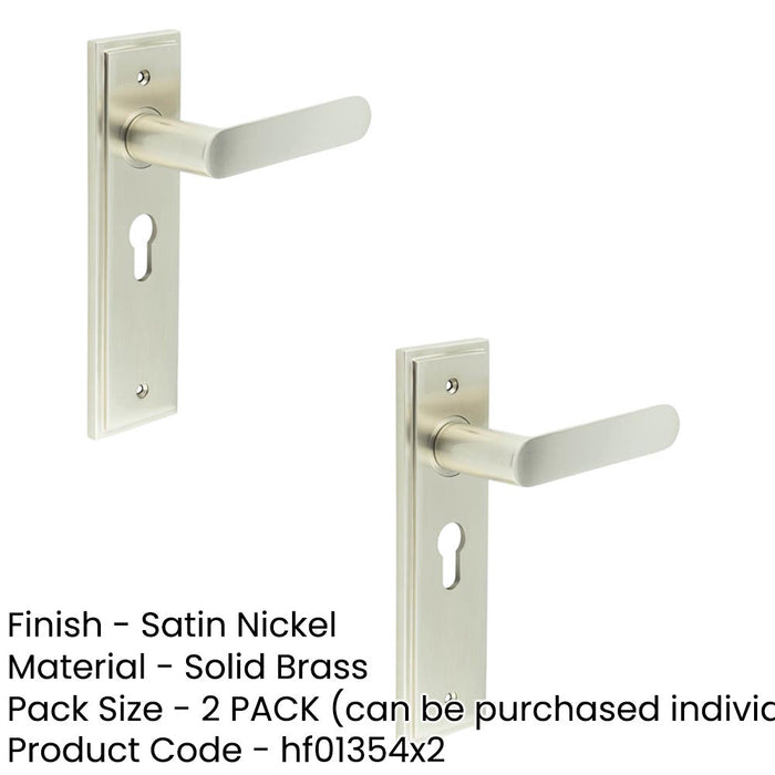 PACK Elegant Satin Nickel Door Handle with Euro Backplate Luxurious Interiors Solid Brass Interior Handle (1)-1