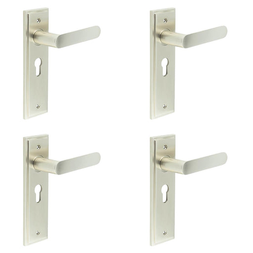 PACK Elegant Satin Nickel Door Handle with Euro Backplate Luxurious Interiors Solid Brass Interior Handle