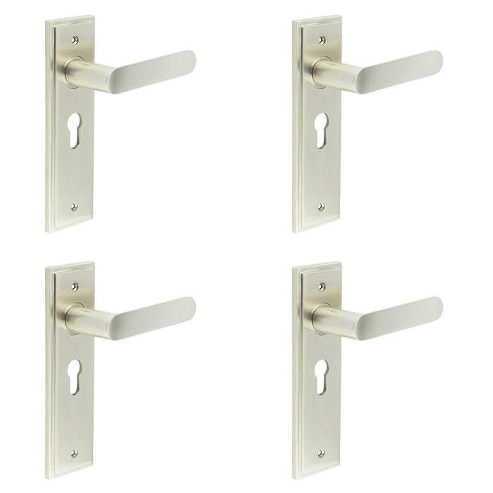 PACK Elegant Satin Nickel Door Handle with Euro Backplate Luxurious Interiors Solid Brass Interior Handle