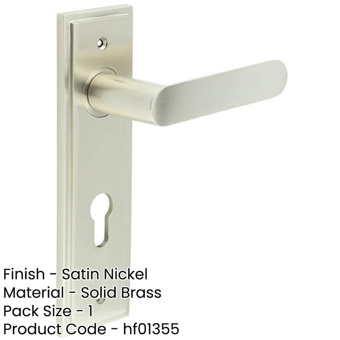 Satin Nickel Door Handle with Euro Backplate Elegant Solid Brass Design Solid Brass Interior Handle-1