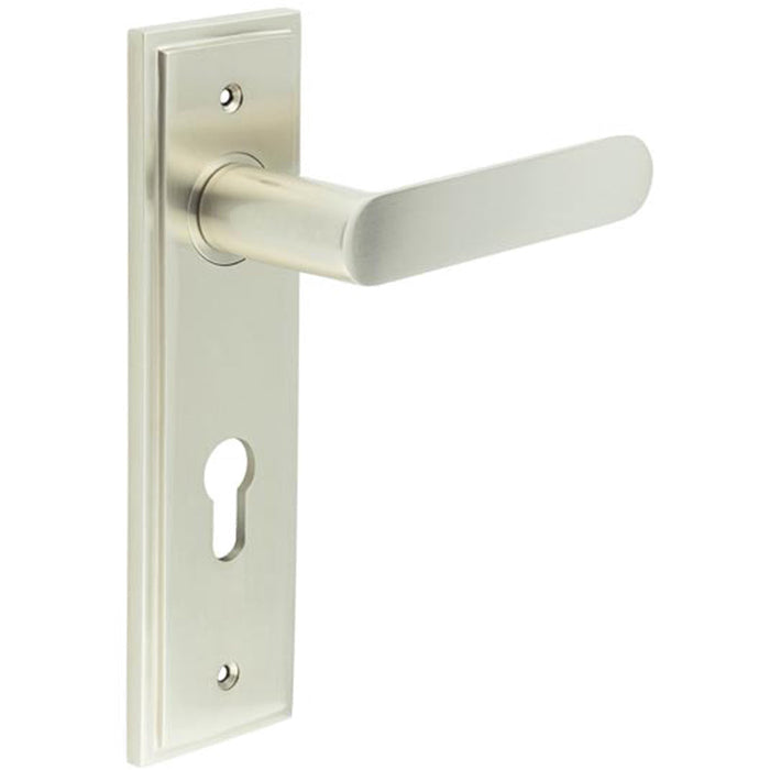 Satin Nickel Door Handle with Euro Backplate Elegant Solid Brass Design Solid Brass Interior Handle