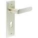 Satin Nickel Door Handle with Euro Backplate Elegant Solid Brass Design Solid Brass Interior Handle