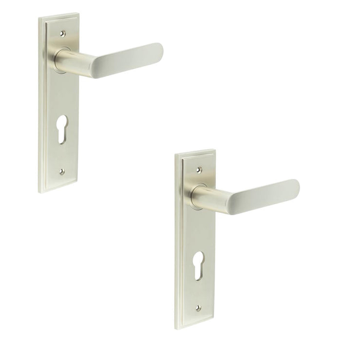 PACK Satin Nickel Door Handle with Euro Backplate Elegant Solid Brass Design Solid Brass Interior Handle (1)