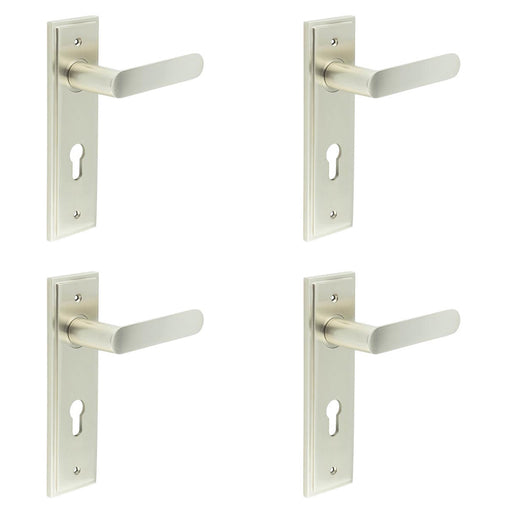 PACK Satin Nickel Door Handle with Euro Backplate Elegant Solid Brass Design Solid Brass Interior Handle