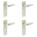 PACK Satin Nickel Door Handle with Euro Backplate Elegant Solid Brass Design Solid Brass Interior Handle