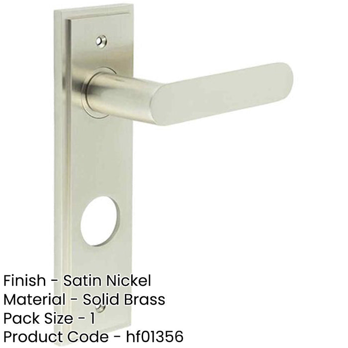 Satin Nickel Bathroom Door Handle with Backplate Elegant Durable Design Solid Brass Interior Handle-1