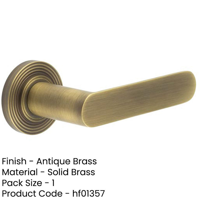 Antique Brass Reeded Rose Door Handle Elegant Interiors Solid Brass Interior Handle-1