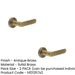 PACK Antique Brass Reeded Rose Door Handle Elegant Interiors Solid Brass Interior Handle (1)-1