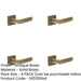 PACK Elegant Square Plain Door Handle Antique Brass Finish Solid Brass Interior Handle-1