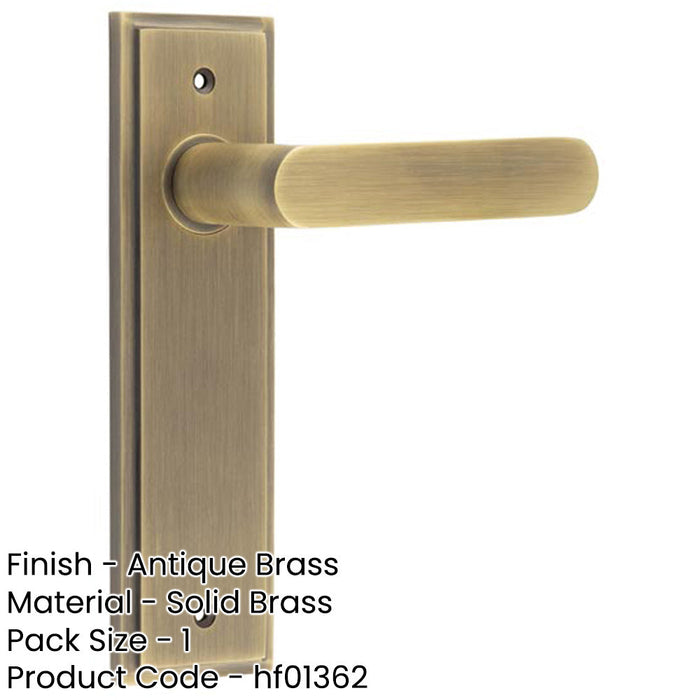 Antique Brass Door Handle Latch Backplate Elegant Home Decor Solid Brass Interior Handle-1