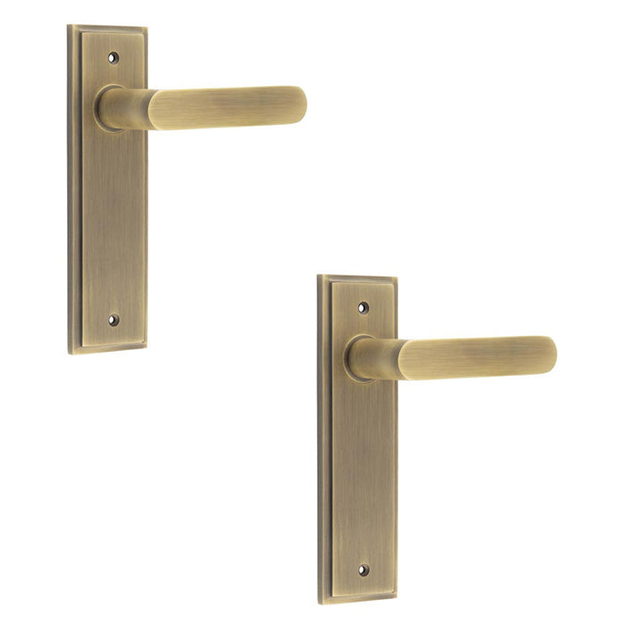 PACK Antique Brass Door Handle Latch Backplate Elegant Home Decor Solid Brass Interior Handle (1)