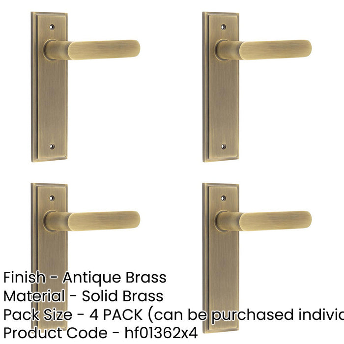 PACK Antique Brass Door Handle Latch Backplate Elegant Home Decor Solid Brass Interior Handle-1