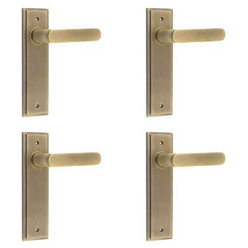 PACK Antique Brass Door Handle Latch Backplate Elegant Home Decor Solid Brass Interior Handle