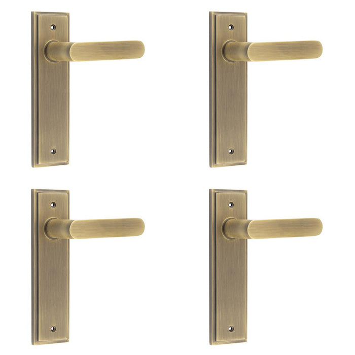 PACK Antique Brass Door Handle Latch Backplate Elegant Home Decor Solid Brass Interior Handle