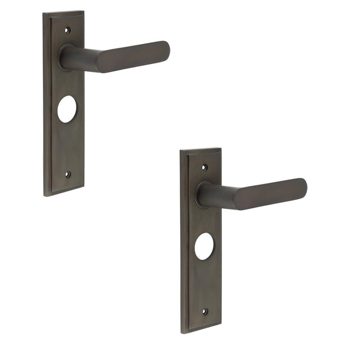 PACK Elegant Dark Bronze Bathroom Door Handle with Durable Backplate Solid Brass Interior Handle (1)