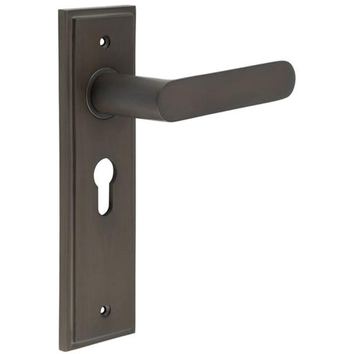 Elegant Dark Bronze Euro Backplate Door Handle Luxurious Homes Solid Brass Interior Handle