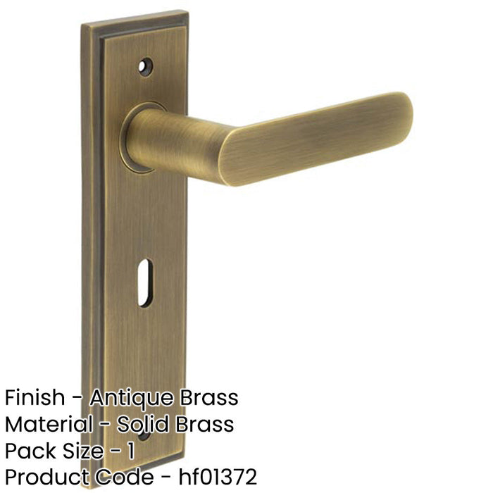 Antique Brass Door Handle Lock Backplate Elegant Home Decor Solid Brass Interior Handle-1