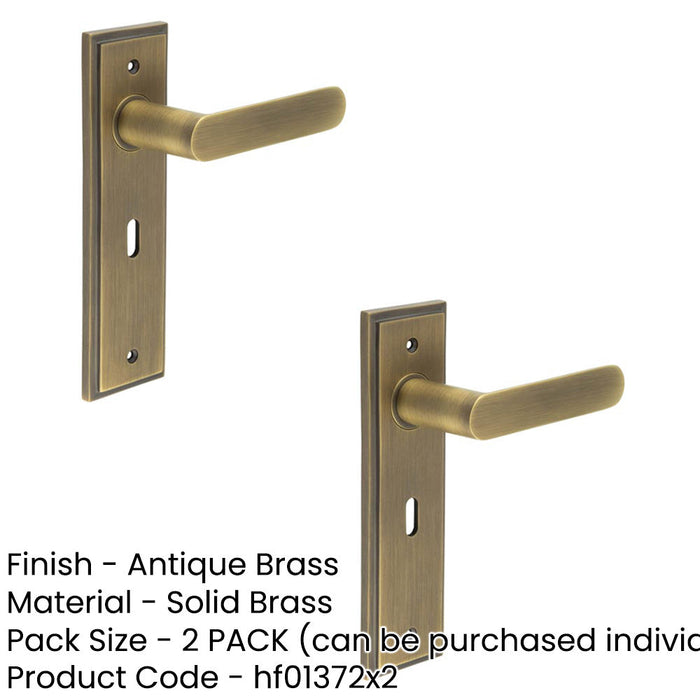 PACK Antique Brass Door Handle Lock Backplate Elegant Home Decor Solid Brass Interior Handle (2)-1