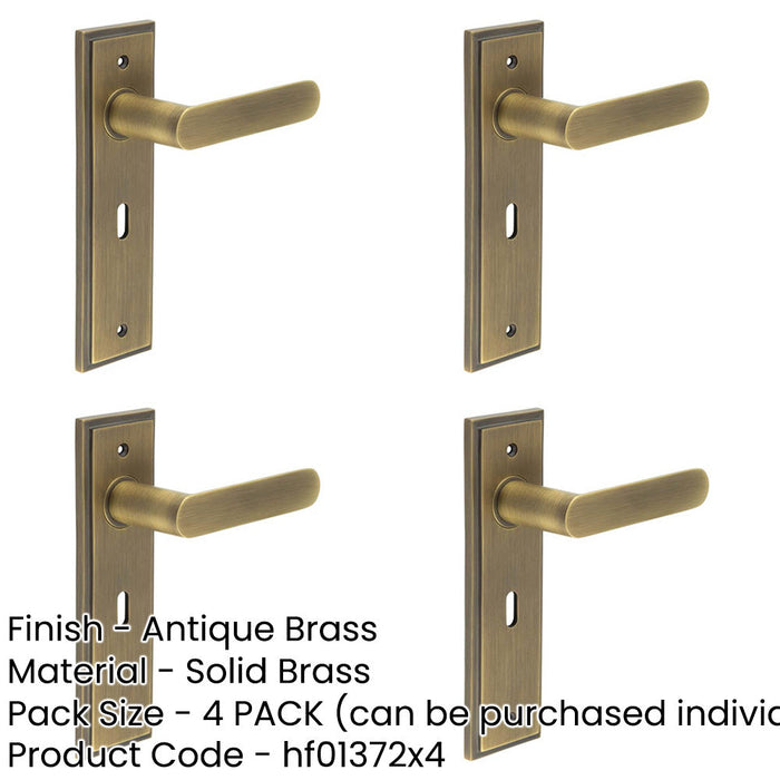 PACK Antique Brass Door Handle Lock Backplate Elegant Home Decor Solid Brass Interior Handle-1