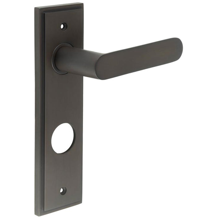 Elegant Dark Bronze Door Handle with Backplate Bathrooms Solid Brass Interior Handle (6)