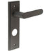 Elegant Dark Bronze Door Handle with Backplate Bathrooms Solid Brass Interior Handle (6)