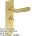 Satin Brass Bathroom Door Handle with Backplate Turn Release Mechanism Solid Brass Interior Handle (2)-1