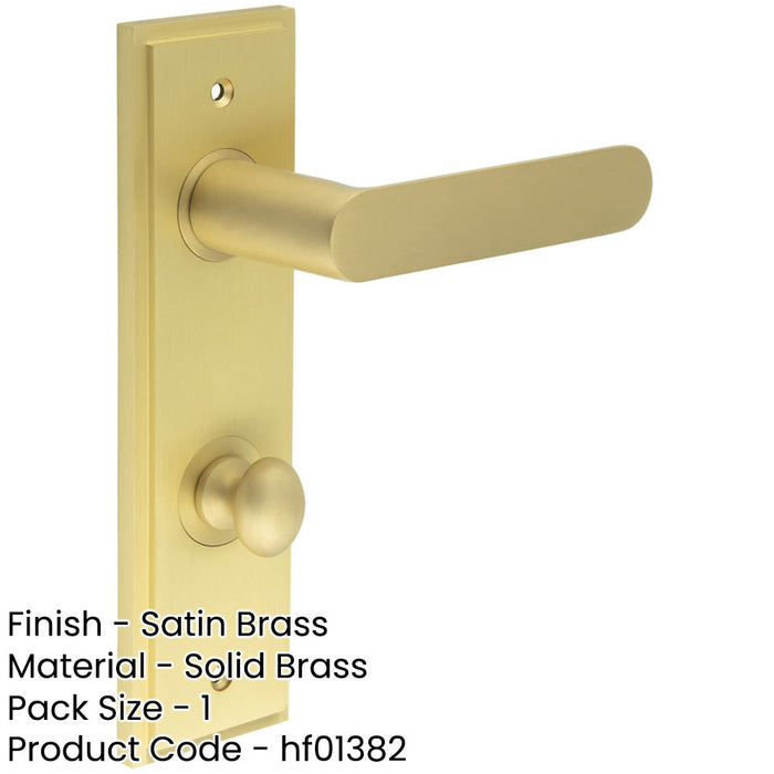 Luxurious Satin Brass Door Handle with Backplate Bathroom Solid Brass Interior Handle-1