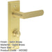 Luxurious Satin Brass Door Handle with Backplate Bathroom Solid Brass Interior Handle-1