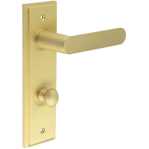 Luxurious Satin Brass Door Handle with Backplate Bathroom Solid Brass Interior Handle