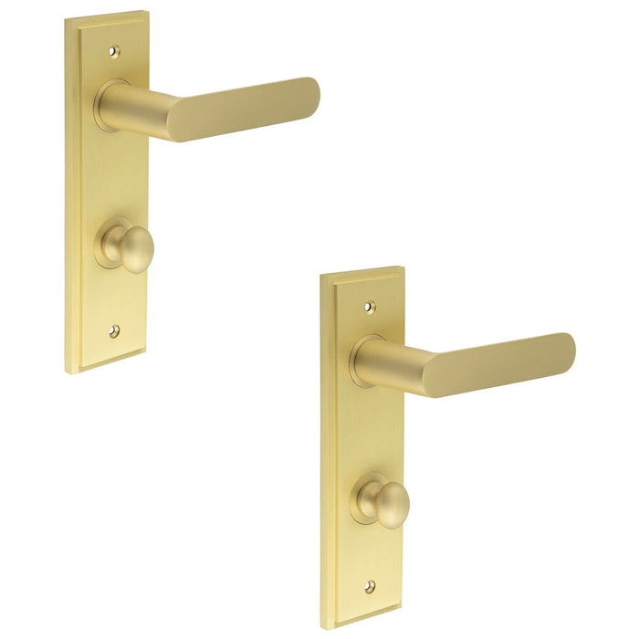 PACK Luxurious Satin Brass Door Handle with Backplate Bathroom Solid Brass Interior Handle (1)