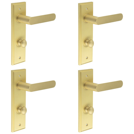 PACK Luxurious Satin Brass Door Handle with Backplate Bathroom Solid Brass Interior Handle