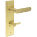 Elegant Satin Brass Bathroom Door Handle with Backplate Turn Release Solid Brass Interior Handle (2)