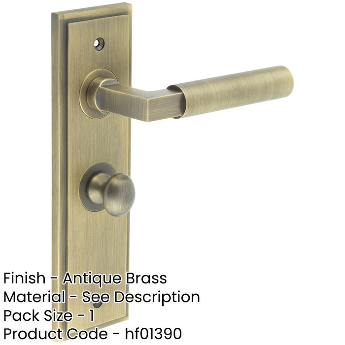 Antique Brass Bathroom Door Handle with Backplate Turn Release Solid Brass Interior Handle (2)-1