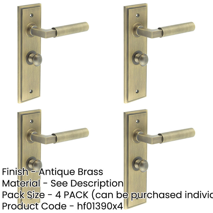 PACK Antique Brass Bathroom Door Handle with Backplate Turn Release Solid Brass Interior Handle (2)-1