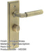 Antique Brass Door Handle with Backplate Bathrooms Elegant Turn Release Design Solid Brass Interior Handle (1)-1