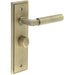 Antique Brass Door Handle with Backplate Bathrooms Elegant Turn Release Design Solid Brass Interior Handle (1)