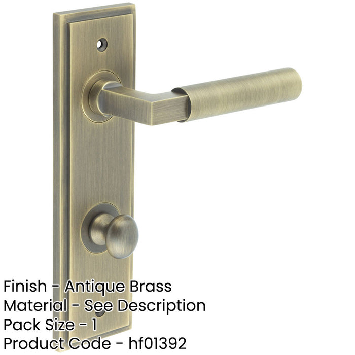 Antique Brass Bathroom Door Handle with Backplate Turn Release Solid Brass Interior Handle (3)-1