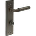 Elegant Dark Bronze Door Handle with Backplate Bathroom Solid Brass Interior Handle