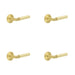 PACK Elegant Satin Brass Door Handle with Chamfered Rose Design Solid Brass Interior Handle (1)