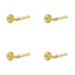 PACK Luxurious Satin Brass Door Handle with Stepped Rose Design Solid Brass Interior Handle