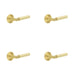 PACK Elegant Satin Brass Reeded Door Handle with Rose Solid Brass Interior Handle