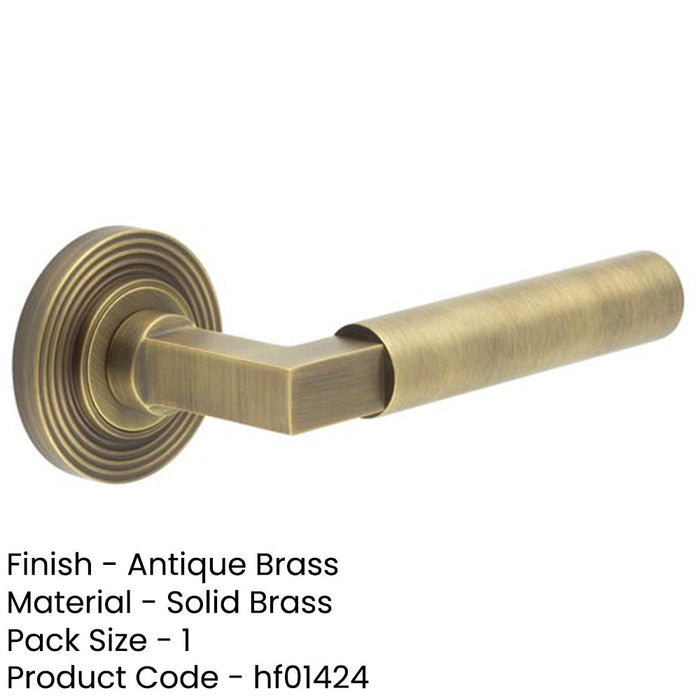 Luxurious Antique Brass Door Handle Reeded Rose Elegant Interiors Solid Brass Interior Handle-1