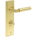 Elegant Satin Brass Bathroom Door Handle with Backplate Turn Release Solid Brass Interior Handle (3)