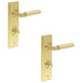 PACK Elegant Satin Brass Bathroom Door Handle with Backplate Turn Release Solid Brass Interior Handle (8)