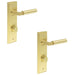 PACK Elegant Satin Brass Bathroom Door Handle with Turn Release Solid Brass Interior Handle (1)