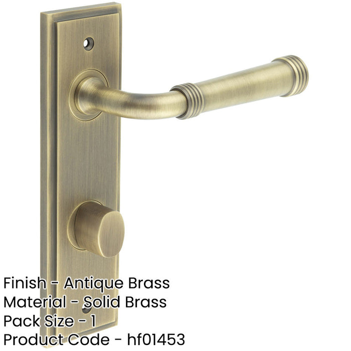 Antique Brass Door Handle with Backplate Bathrooms BUR35 Design Solid Brass Interior Handle-1