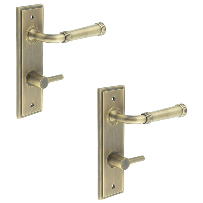 PACK Antique Brass Door Handle with Backplate Bathroom Style Solid Brass Interior Handle (1)