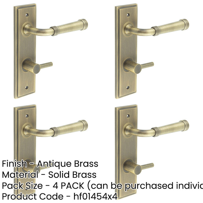 PACK Antique Brass Door Handle with Backplate Bathroom Style Solid Brass Interior Handle-1