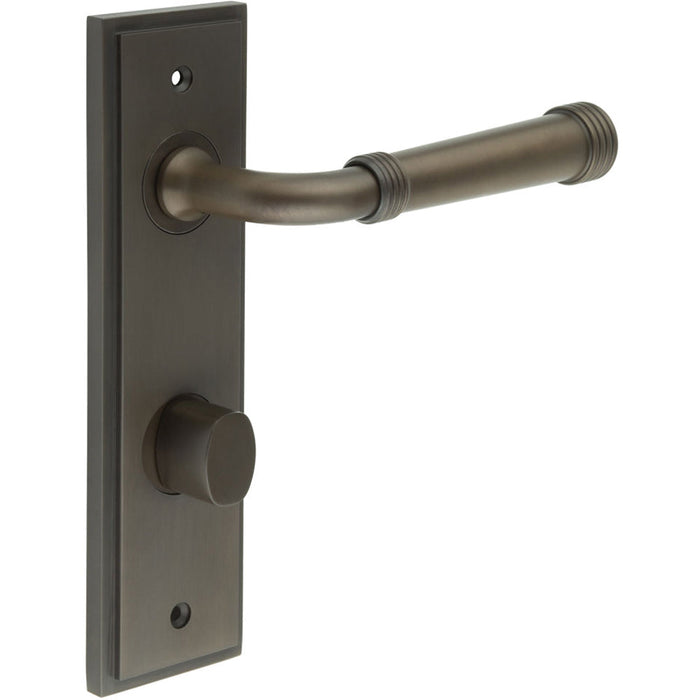 Stylish Dark Bronze Door Handle with Backplate Bathrooms Solid Brass Interior Handle